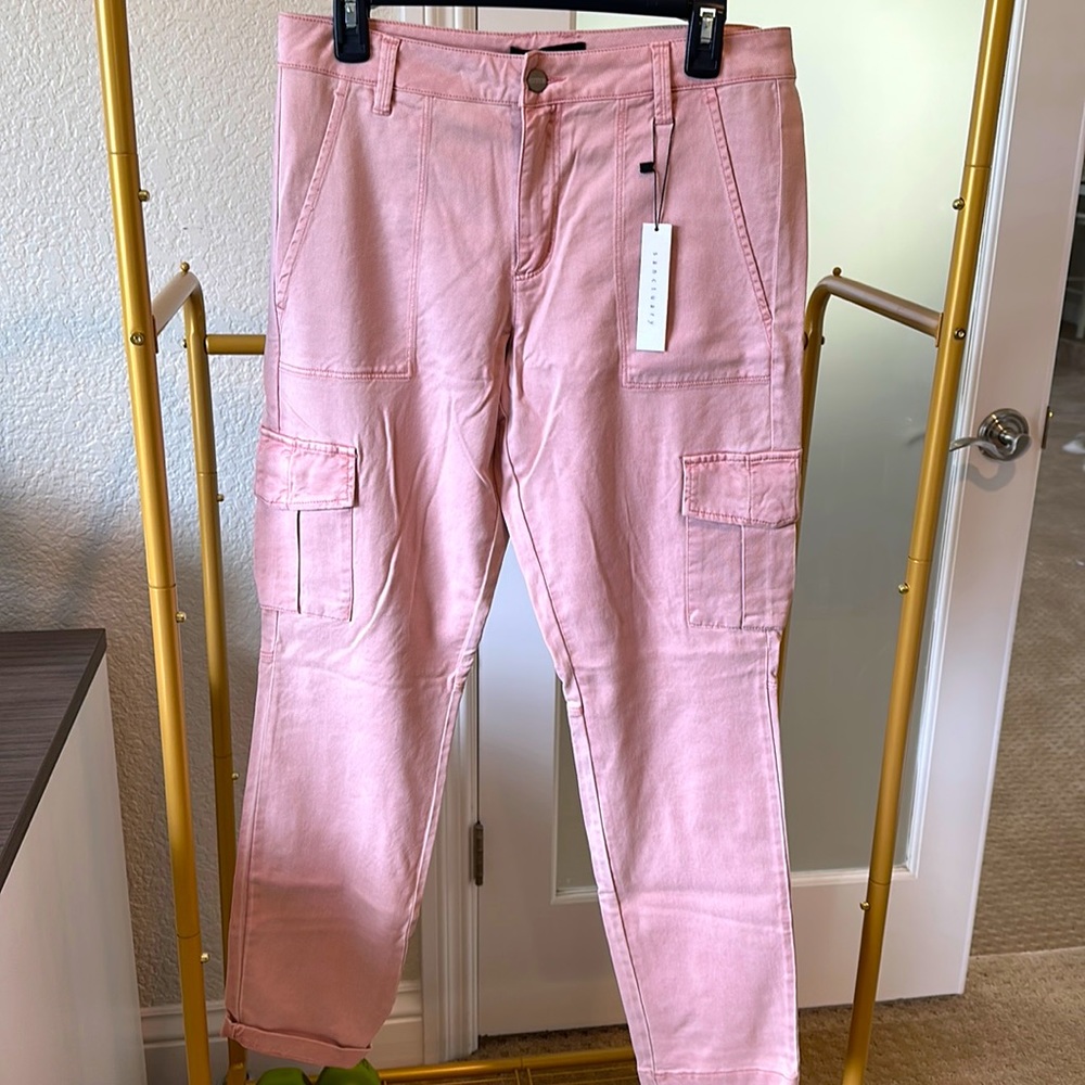Sanctuary size 30 pants